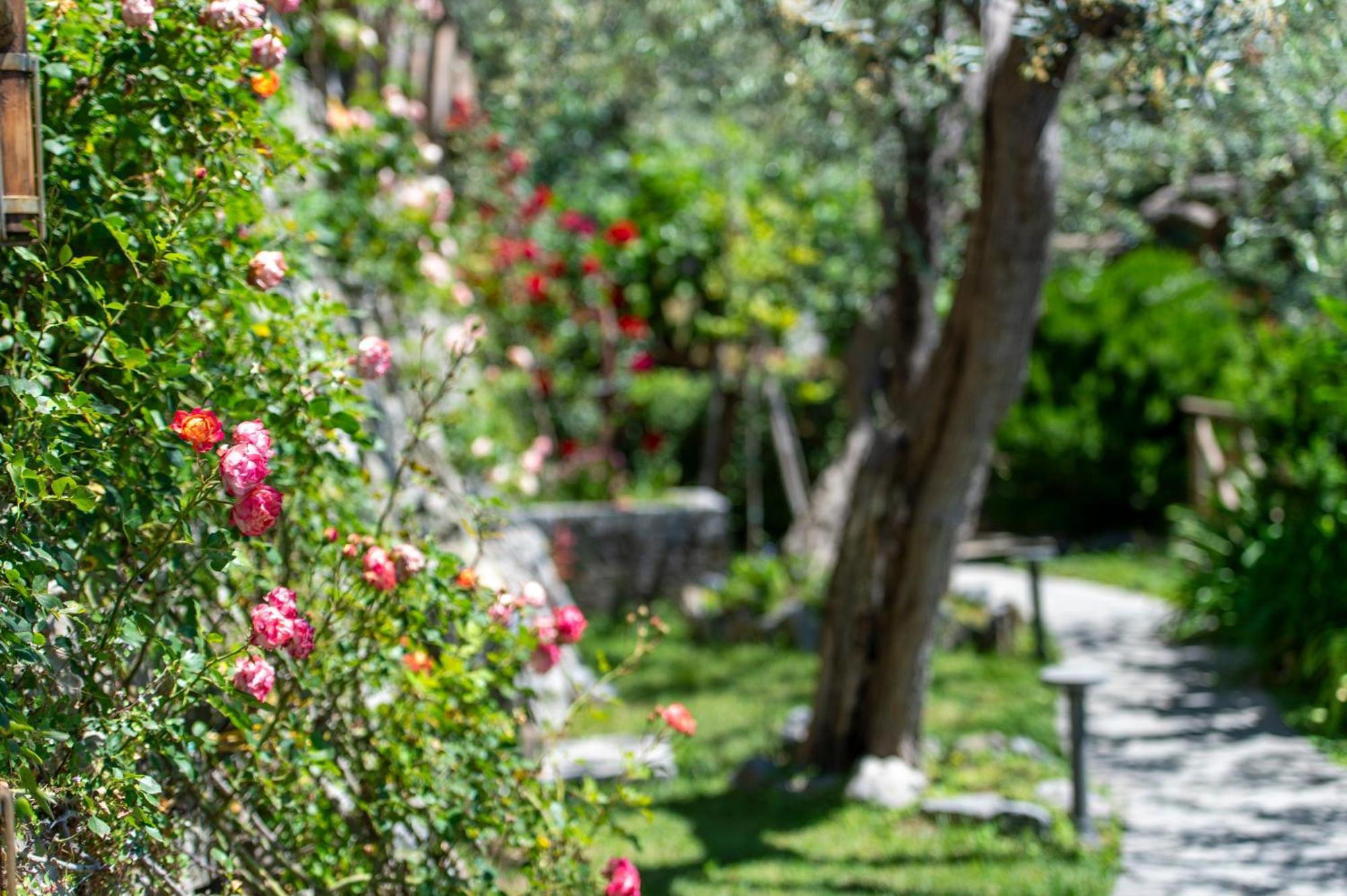 Le Contrade By Sosore Holiday Homes -Amalfi Coast 푸로레 객실 사진