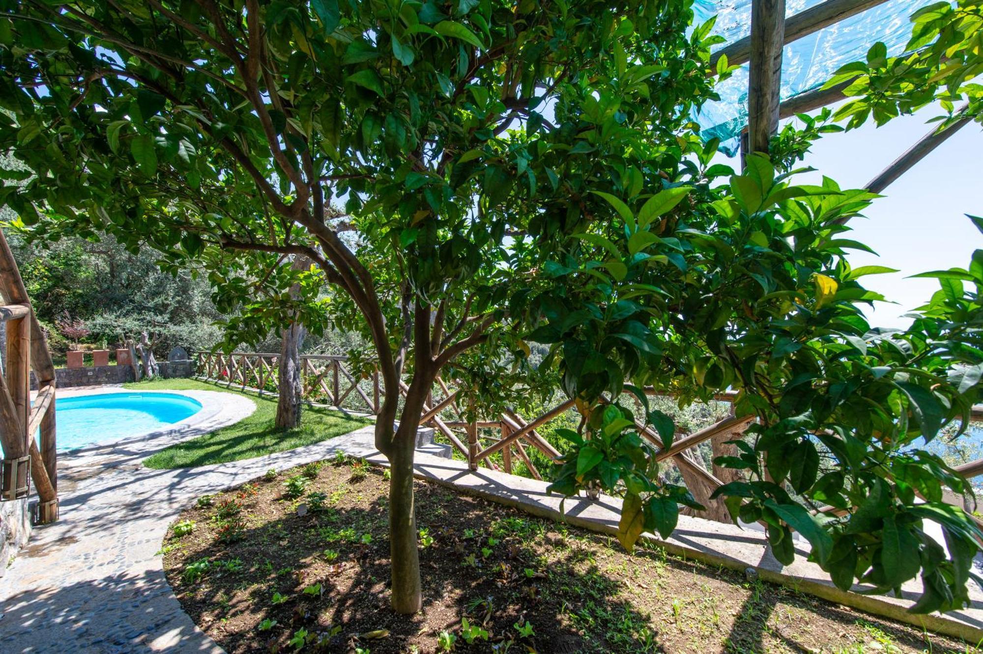 Le Contrade By Sosore Holiday Homes -Amalfi Coast 푸로레 객실 사진