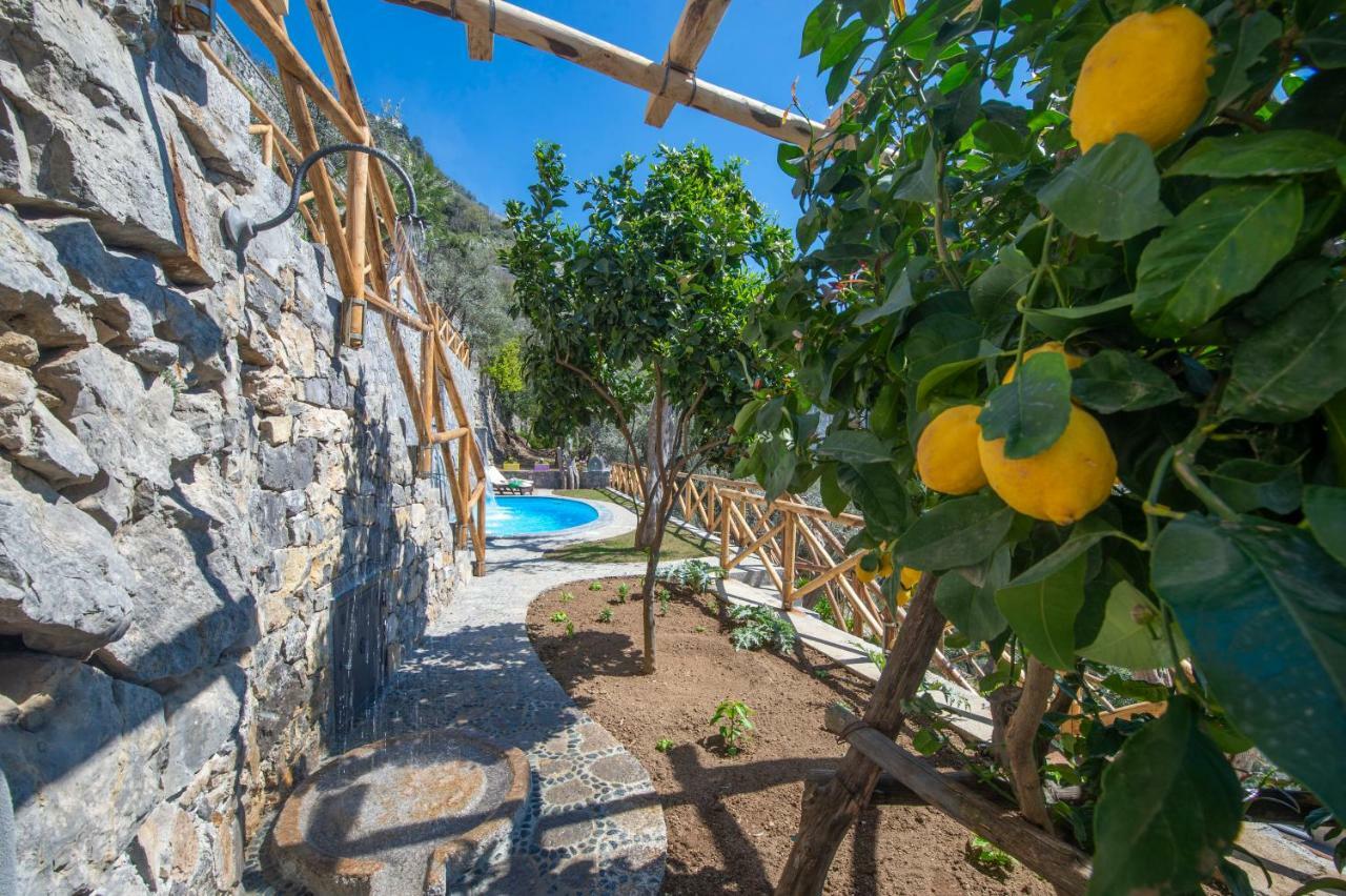 Le Contrade By Sosore Holiday Homes -Amalfi Coast 푸로레 외부 사진